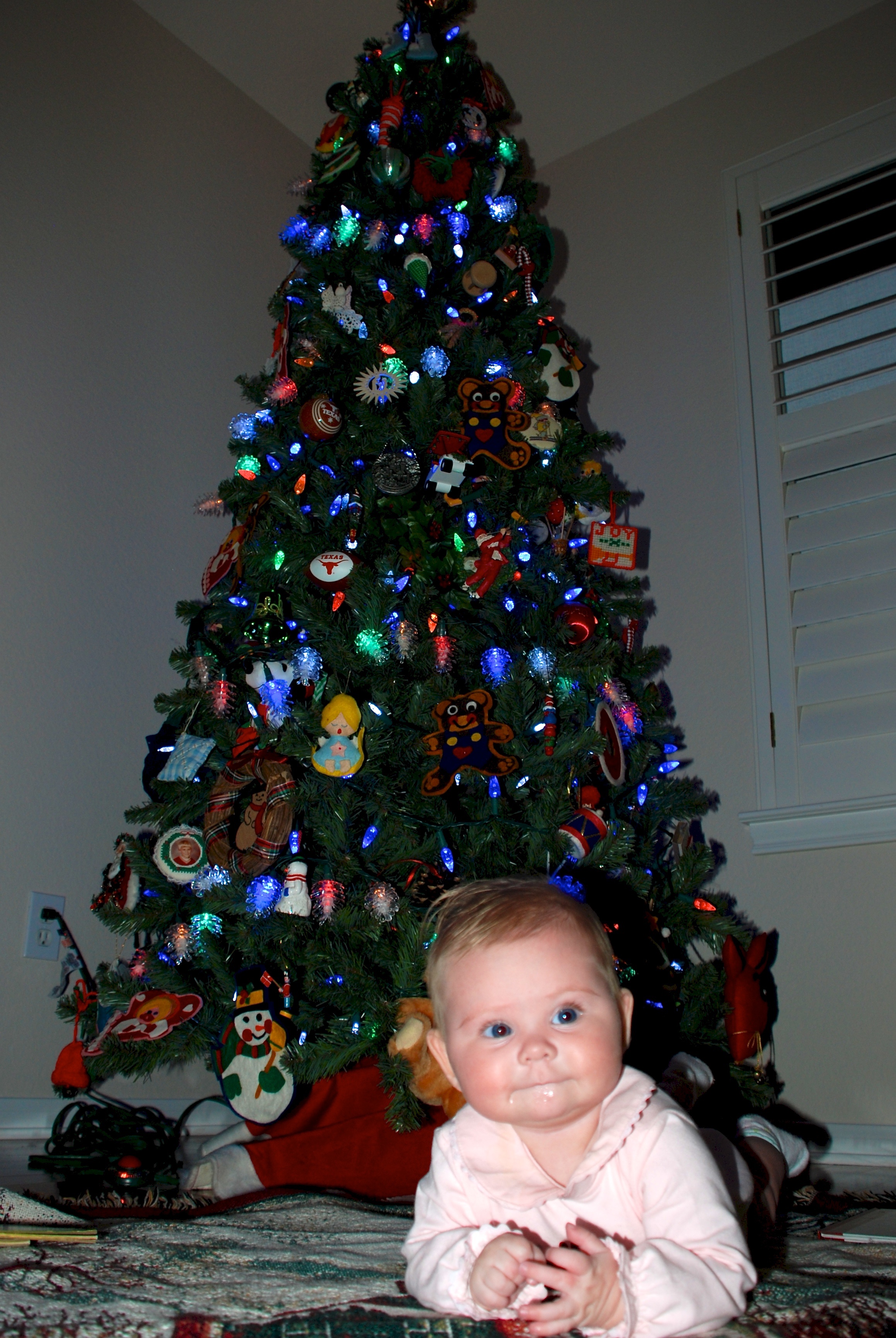 2008-11-28-07 Sydney early Christmas at Grandmas.jpg